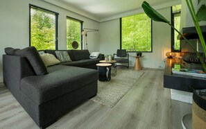 Televisión, chimenea y libros