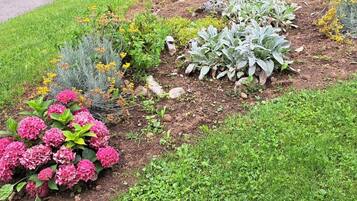 A garden with various plants and flowers, including pink hydrangeas and yellow flowers.