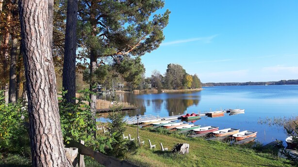 A calm lake with boats docked on the shore, surrounded by trees and a grassy area.