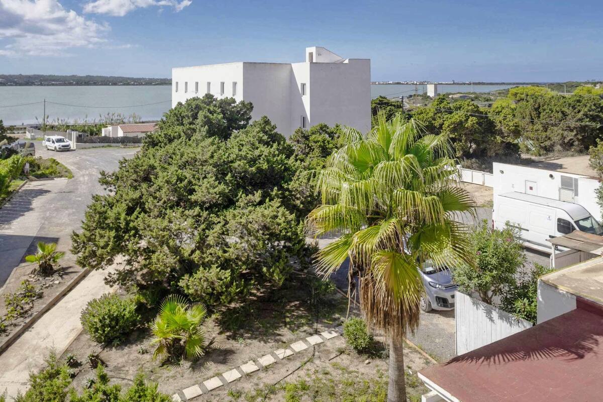 Un quartier résidentiel avec un bâtiment blanc, des palmiers et une vue sur la mer.