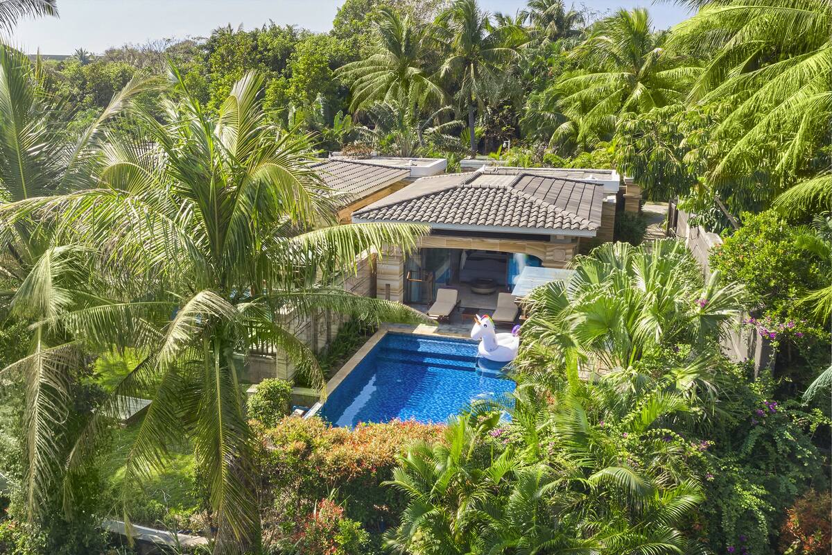 Une maison avec une piscine, entourée d’une végétation luxuriante et de palmiers.