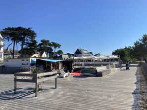 Terras