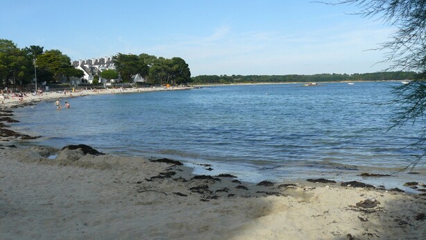 A beach with clear water, a sandy shore, and a row of houses in the background. - HORTENSIAS - Holiday apartment with sea view, facing the beach - T6 (Carnac)