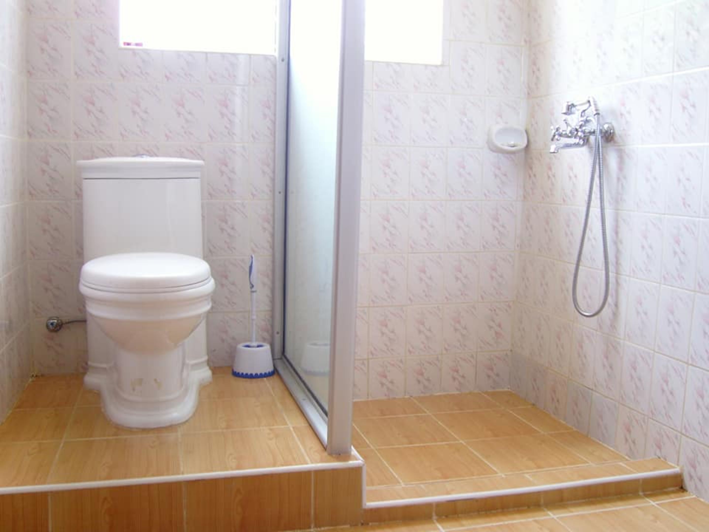 Combined shower/tub, towels, soap, shampoo