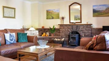 TV connectée, cheminée, livres, écrans d'ordinateur