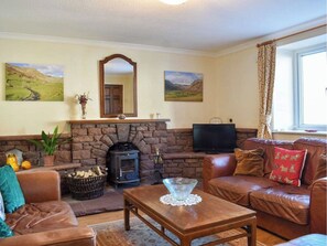 Smart TV, fireplace, books, computer monitors