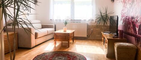 TV, fireplace, DVD player