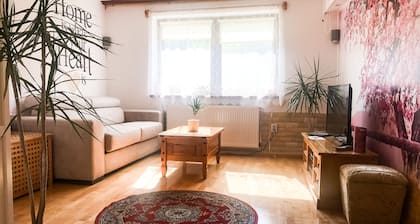 Romantic Studio in the heart of Transylvania