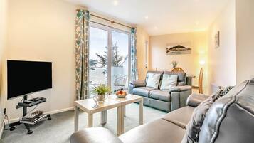 Televisio, DVD-soitin