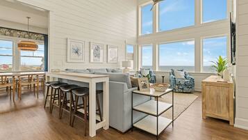 TV, video games, DVD player, video library