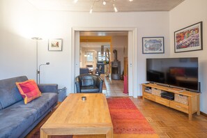 Télévision, cheminée, lecteur de DVD, chaîne hi-fi