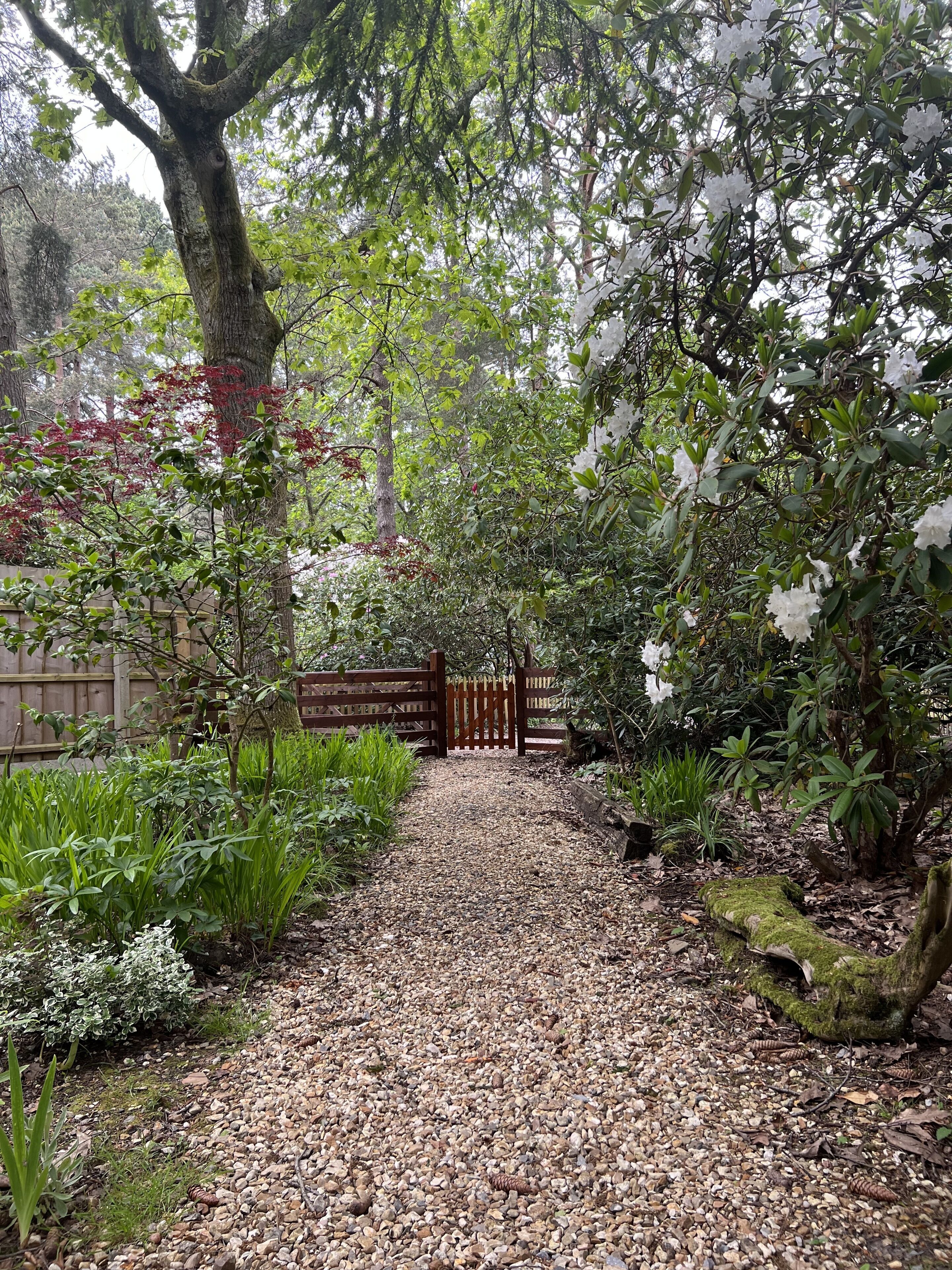 Overnattingsstedets uteområder