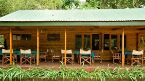 Unclassified image, 4 of 6, button - Budongo Eco Lodge (Masindi)