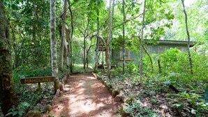 Unclassified image, 5 of 6, button - Budongo Eco Lodge (Masindi)