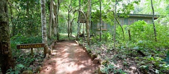 Budongo Eco Lodge
