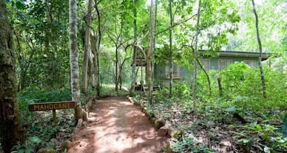 Budongo Eco Lodge