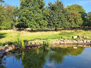 Cottage | Property grounds