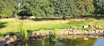 Carreg Cennen Cottage