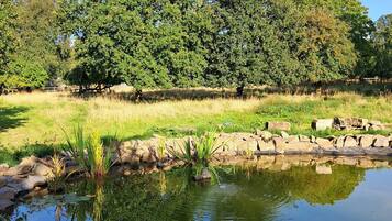 Cottage | Property grounds