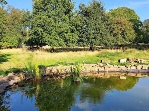 Cottage | Property grounds