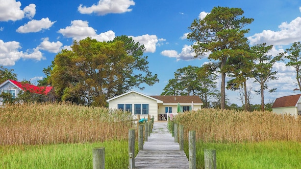 A wooden boardwalk leading to a house surrounded by tall grass and trees. - An Unfettered View | Wheelchair Accessible Oyster Bay Waterfront Ranch w/ Long Pier for Crabbing (Chincoteague Island)