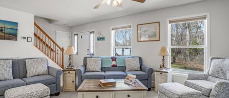 Televisión, chimenea, reproductor de DVD, libros