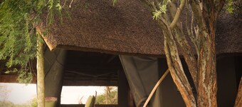 Total privacy in Botswana's wilderness!