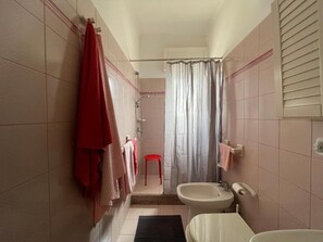 Shower, hair dryer, bidet, towels