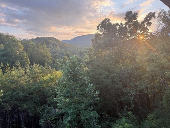 A dense forest with a mountain in the background and the sun setting behind the trees.