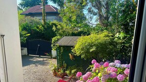 A view through a window of a garden with a small shed, a gravel path, and a house in the background.