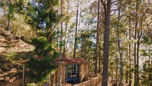 A wooden cabin with a balcony, surrounded by tall pine trees. - Cabañas Rancho Viejo (San Mateo Río Hondo)
