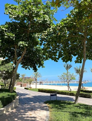 Un sendero pavimentado bordeado de árboles que conduce a una playa con vistas al mar y edificios a lo lejos.