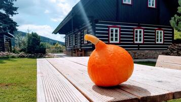 Villa | Terraza o patio