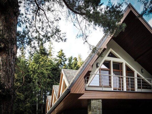 Villa - Frenst t pod Radhostem Mofl540 (Frenstat pod Radhostem)