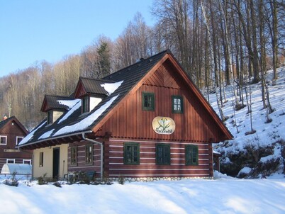 Rudnik Krp460 在 Rudn k