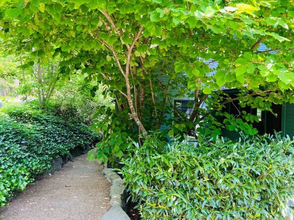 A pathway lined with lush green foliage and a variety of plants.