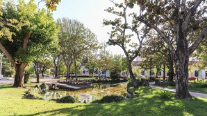 A park with a pond, trees, and a bridge. - Benfica Apartments III by Homing (Lisbon)