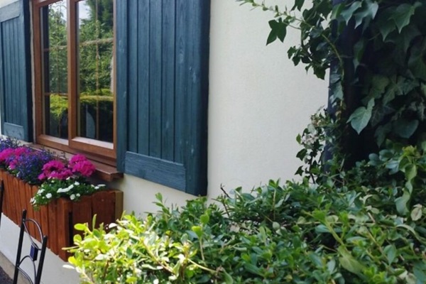 Detalle exterior