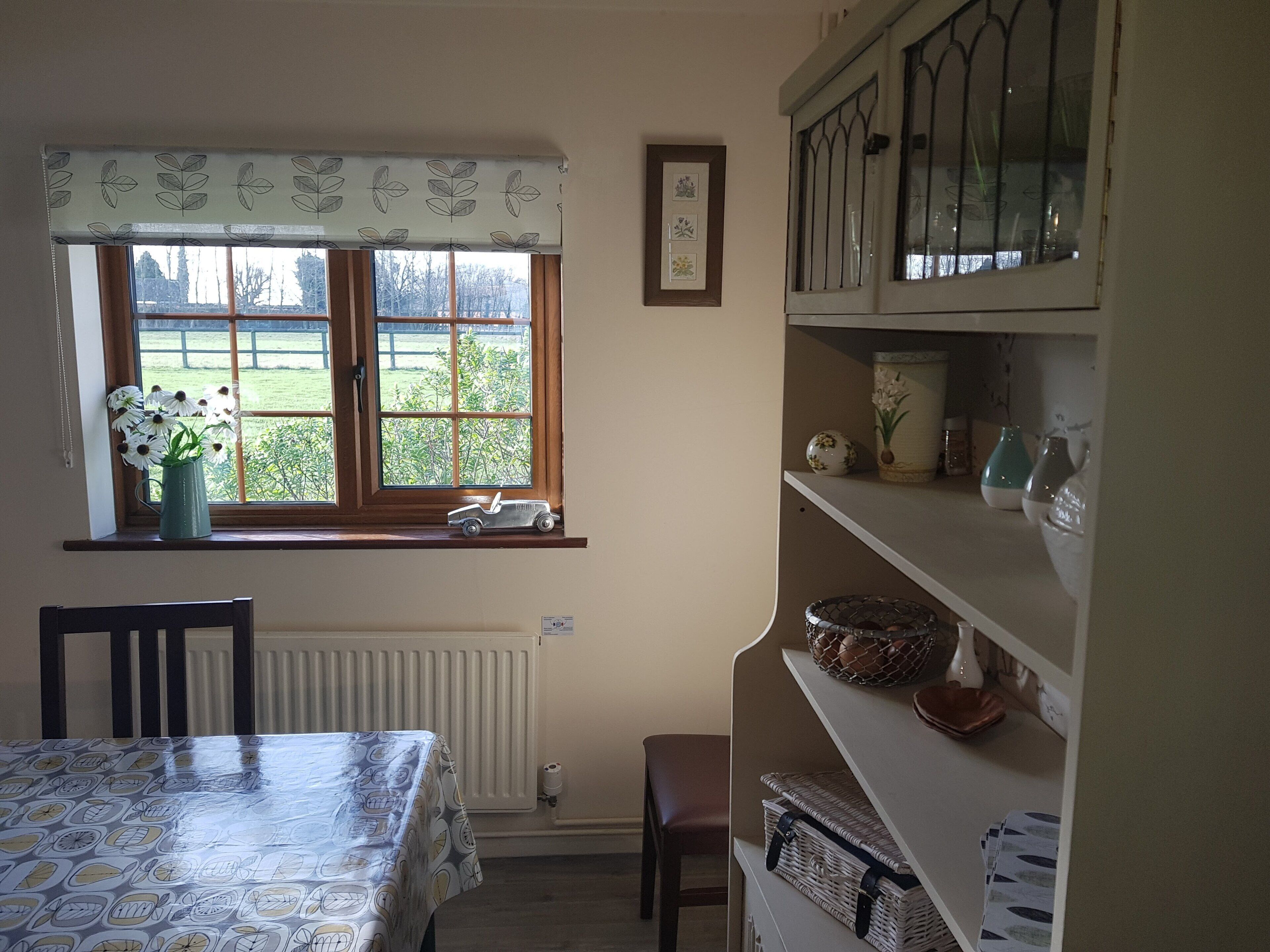 A dining area with a table covered in a patterned tablecloth, a window with a view of greenery, and shelves with various items.