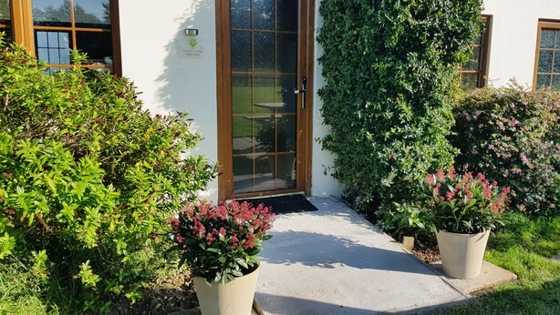 Um jardim bem cuidado, com plantas em vasos e um caminho livre que leva a uma porta.