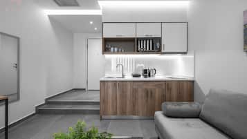 Comfort-studio, kaupunkinäköala | Yksityinen keittiö | Jääkaappi, mikroaaltouuni, uuni, liesi