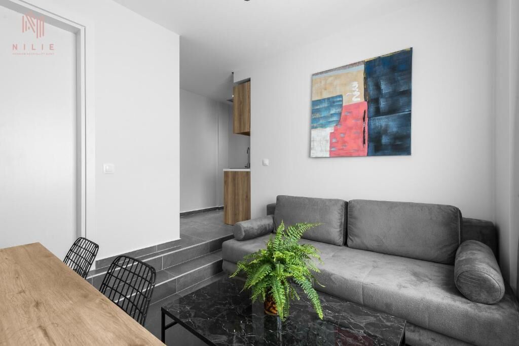 A modern living room with a grey sofa, a wooden dining table, and a black coffee table with a plant.