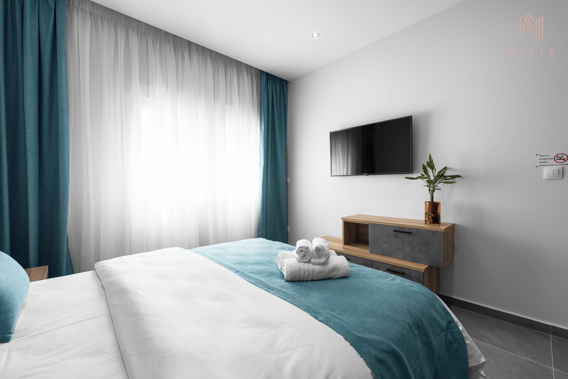 A modern hotel room with a bed, a flat-screen TV, a wooden nightstand, and a potted plant.
