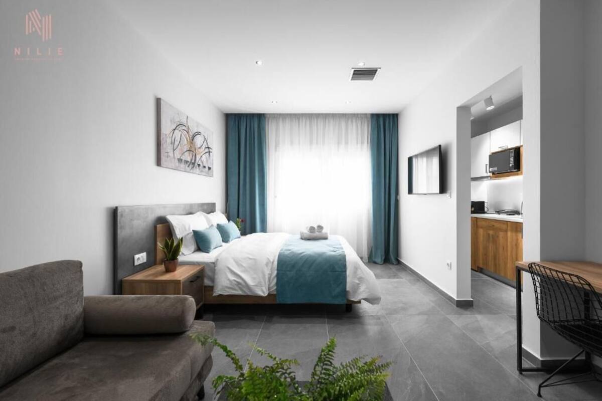 Une chambre moderne avec un lit, un canapé gris, une petite table avec une plante et un coin cuisine.