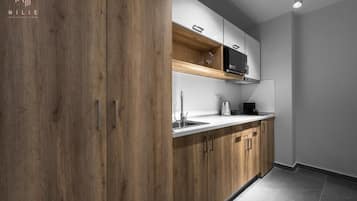 Comfort-studio, kaupunkinäköala | Yksityinen keittiö | Jääkaappi, mikroaaltouuni, uuni, liesi