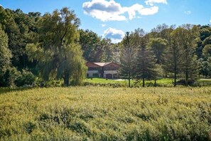 Une maison entourée d’un champ verdoyant et d’une forêt dense.