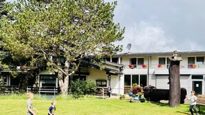 A grassy area with a large tree, a building with a balcony, and a satellite dish. - Tanneneck (Löffingen)