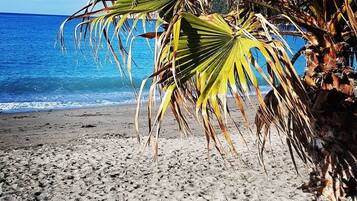 Playa en los alrededores