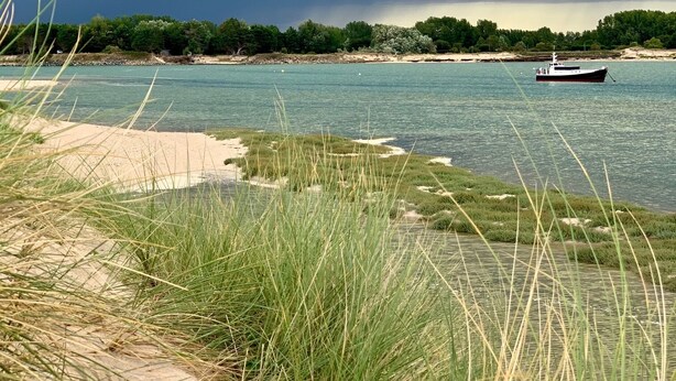 Un bote en un río tranquilo, con una playa arenosa y zonas verdes al frente.