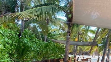 An outdoor wooden deck with tables and chairs, surrounded by lush greenery and palm trees.